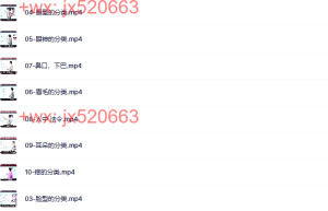 面相识人(10小节)课程（网盘观看）