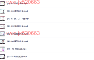 {11}–面相识人（初阶）课程（在线下载）