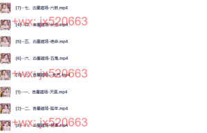 {13}–数字识人（高阶）课程（百度网盘课程）