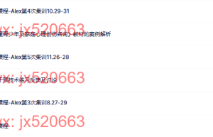 928. 2024中德系统式创伤治疗连续培训项目 高阶课程（百度网盘观看）