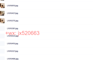 个人照片课程（百度网盘下载）