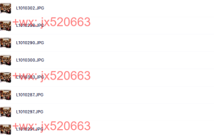 团体照片课程（网盘播放）