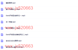 现场课程录音课程（百度网盘观看）