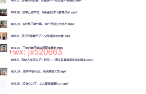 心泉原生家庭觉知营·开窍课课程（百度网盘观看）