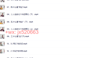 912 释放法【我是谁】前导课课程（网盘课程）