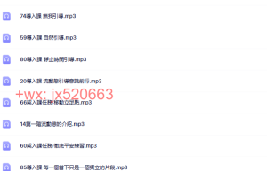 839. 莫子自由终点系统课程（百度网盘下载）