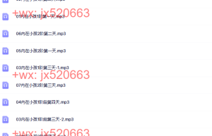 2016内在小孩0基础网络心灵疗愈课高清录音课程（百度网盘观看）