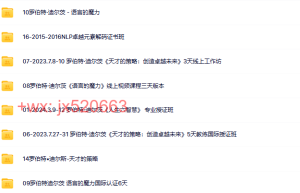 031.罗伯特迪尔茨17套课程（在线下载）