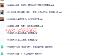 01-2024.3.9-12 罗伯特·迪尔茨《人生六智慧》  专业授证班课程（网盘课程）