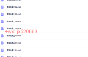 10罗伯特·迪尔茨－语言的魔力课程（百度网盘课程）