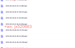 15-2014罗伯特·迪尔茨 卓越元素解码工作坊录音MP3课程（百度网盘观看）