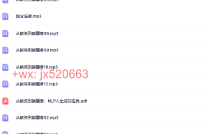 17国际NLP大师 罗伯特 迪尔茨 从教练到唤醒者 录音教程14小时08分课程（百度网盘在线下载）