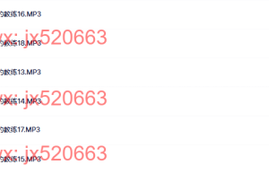 第三天身份的教练课程（网盘下载）