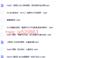 845. 杨力虹 回归爱的序位，绽放丰盈生命  21天安心正念家排深度课课程（在线播放）