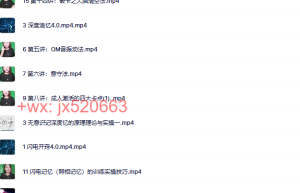 699【潜意识学习】闪电系列四大技术师训课程（百度网盘课程）