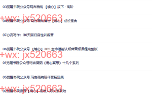 011.境心 玛吉微纳系列7套课程（网盘下载）