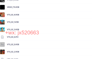 VIDEO_TS课程（百度网盘在线观看）