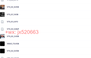 VIDEO_TS课程（网盘播放）