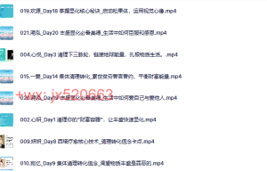 843. 第24期 21天丰盛显化潜意识改写个案营课程（在线下载）