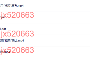 02思维力提升必备–系统思维课程（网盘播放）