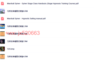 78.马修·史维—世界第一名催眠大师课程（网盘播放）