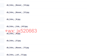 Osho Zen Tarot 奥修禅卡画面课程（在线下载）