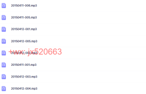 2015.4.11-12 数字心理学初级班 王茁琳（杭州2天）课程（百度网盘下载）