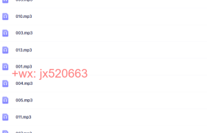 曾国藩家训 下 13集 (郦波)课程（在线下载）