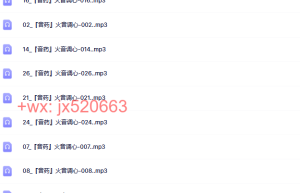 784『音药』火音调心课程（网盘下载）