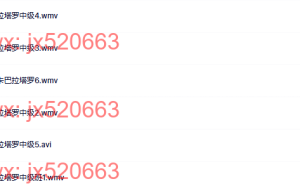 中级卡巴拉塔罗课程（百度网盘观看）