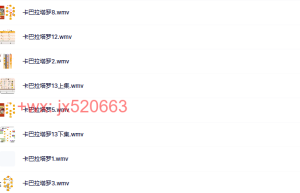 初级版本二课程（在线下载）