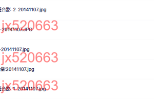 合影课程（在线播放）