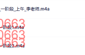 跳好双人舞指导师班一期 一阶段10-29课程（网盘下载）
