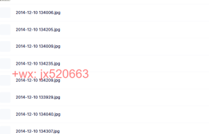 双人舞 指导师 资料课程（百度网盘课程）