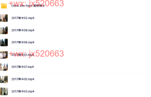 747.梦愈禅卡课课程（网盘播放）