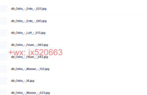 Osho Zen Tarot 奥修禅卡课程（网盘播放）