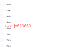 奥修全集课程（百度网盘下载）