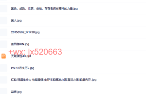 04 玛雅图标解读课程（百度网盘在线观看）