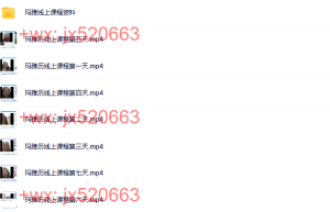 01 薇琪玛雅历法视频课课程（在线下载）