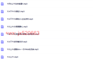 01 红月玛雅历初阶课课程（百度网盘下载）