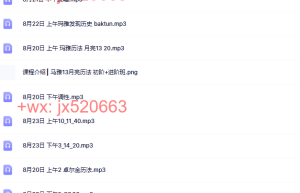 2. Ana Zikic+Rafeeka朱衍舞【初阶+进阶】课程（百度网盘课程）