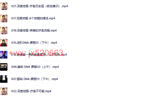 希塔灵气 疗愈师班课程（百度网盘观看）