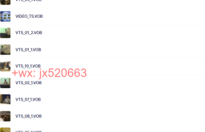 VIDEO_TS课程（百度网盘在线观看）