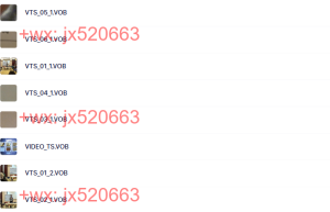 VIDEO_TS课程（百度网盘在线观看）