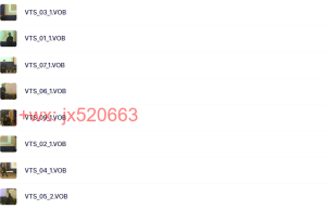 VIDEO_TS课程（百度网盘课程）