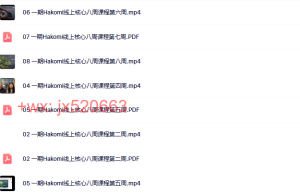 881. 罗伯·费希尔&胡婷婷 正念躯体心理疗法——哈科米（Hakomi）——线上核心基础八周课课程（在线播放）