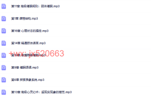 隐蔽催眠的艺术中文录音（20集）课程（网盘观看）