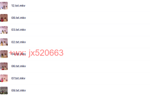 《财富卡点突破专业训练》模块B课程（网盘播放）