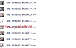 《财富卡点突破教练班》模块C财富品质突破课程（百度网盘课程）