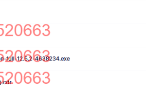 苹果虚拟机安装文件课程（在线观看）